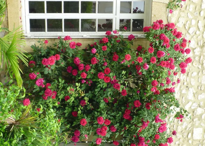 Les D'hotes De Luneil Bed & Breakfast Roquemaure (Gard)